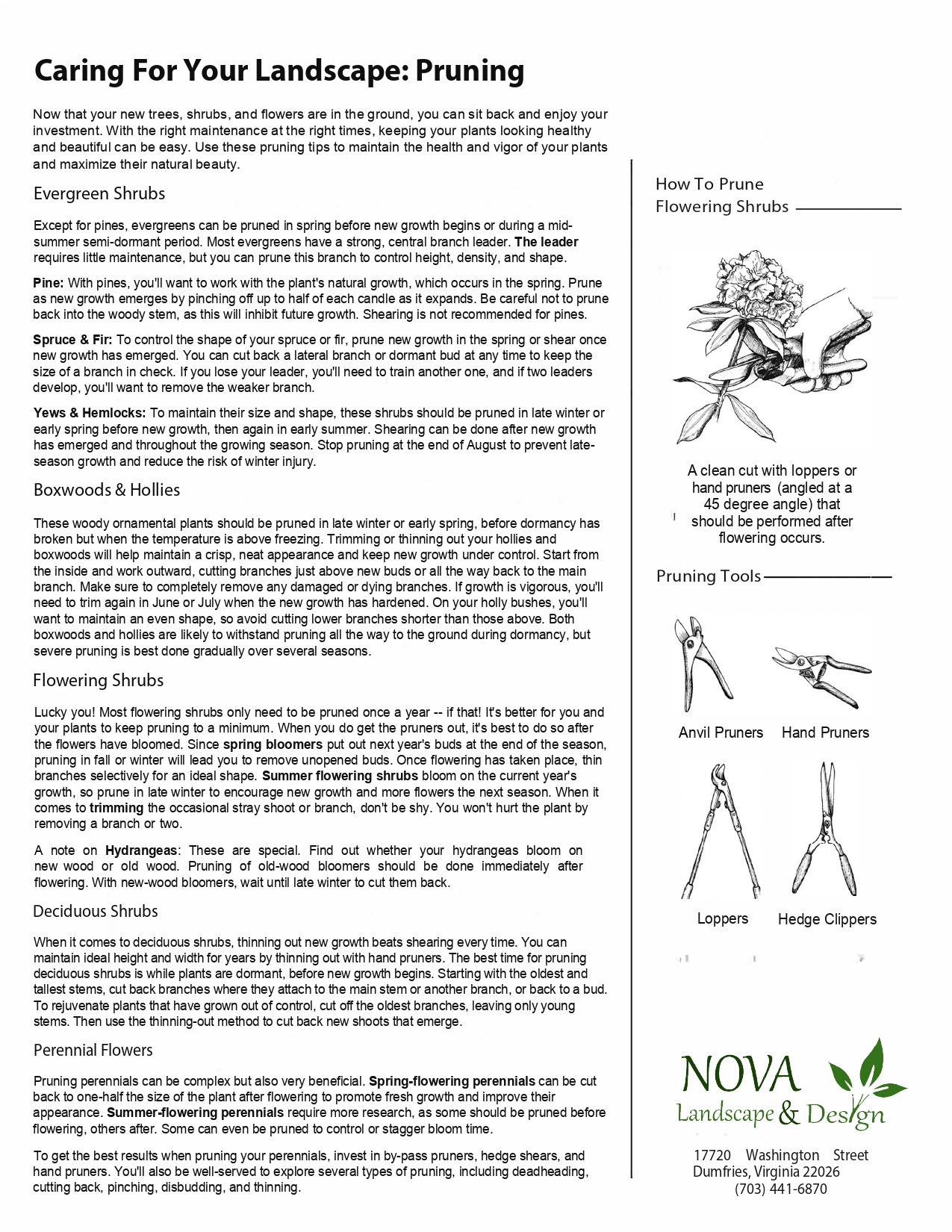 PDF Preview