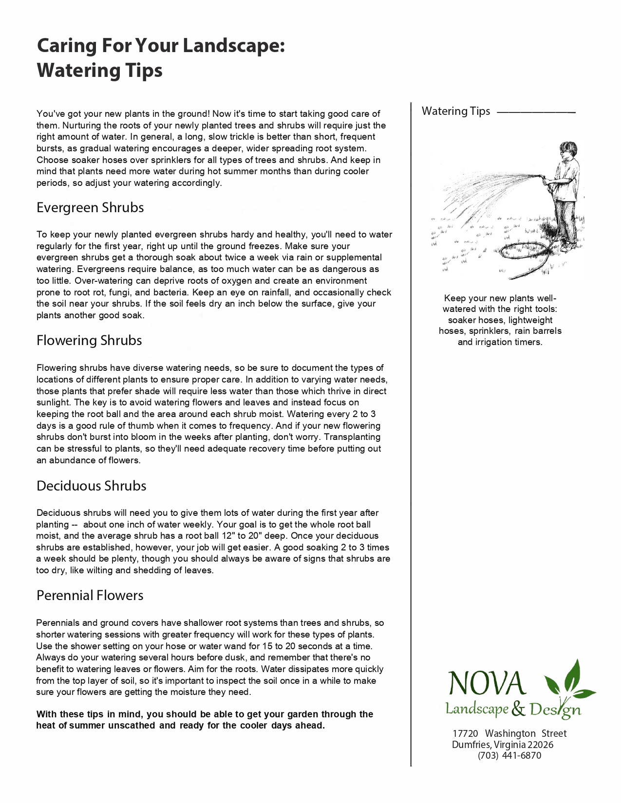 PDF Preview